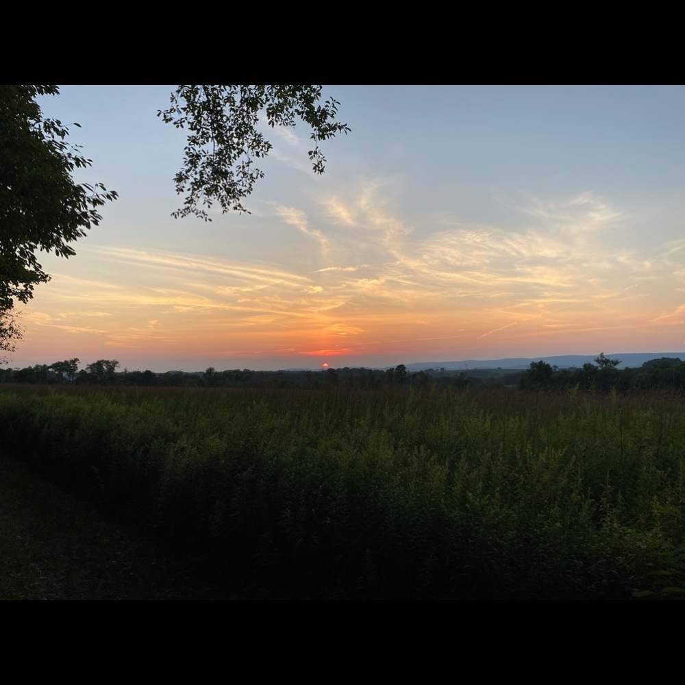 Meet your Posher, Seth